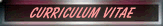 Curriculum vitae